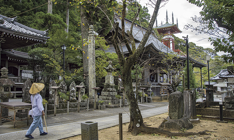 カートピア 薬王寺の本堂と大師堂をつなぐ参道 | SUBARU