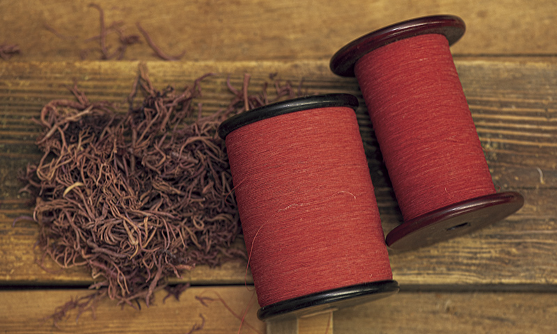 カートピア 塩沢紬で使われる糸(赤色) | SUBARU