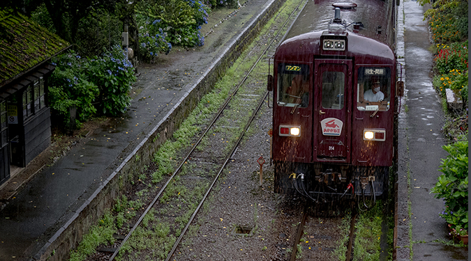 沢入(そうり)駅では、梅雨時の紫陽花とのコラボレーションもみどころです。雨に濡れた「あかがね色」のボディも魅力的。